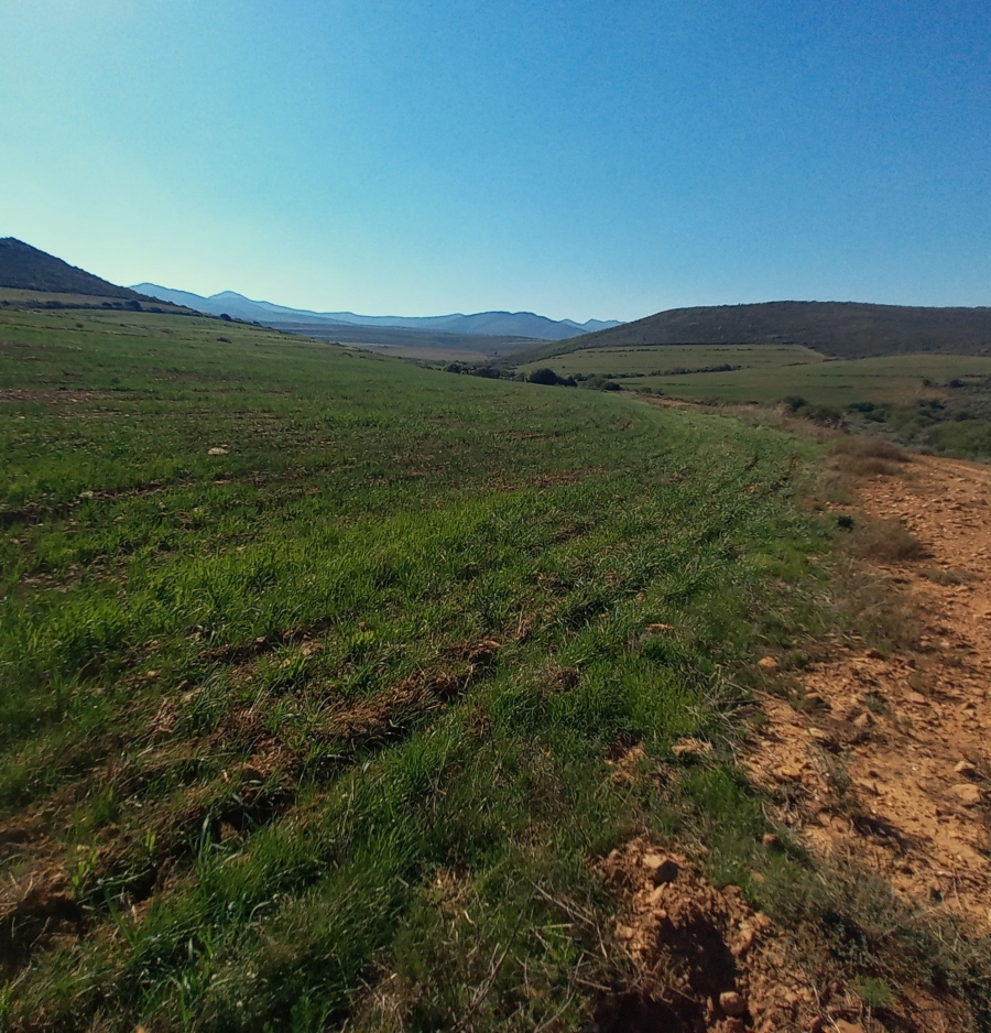 Commercial Property for Sale in George Rural Western Cape